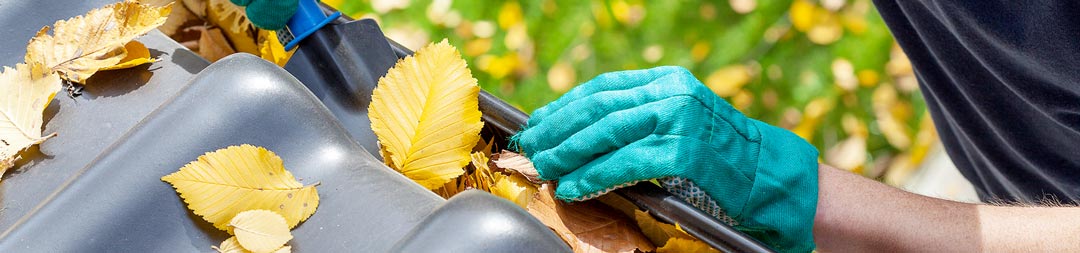 Gutter Cleaning