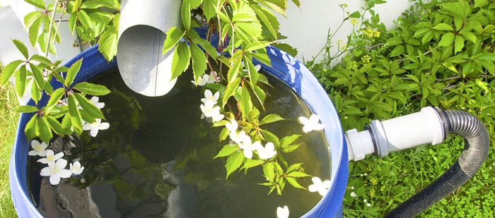 Rain Barrels