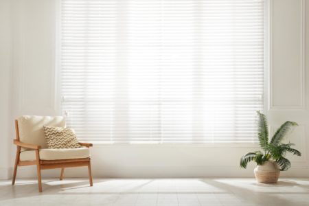 Functional Window Shades